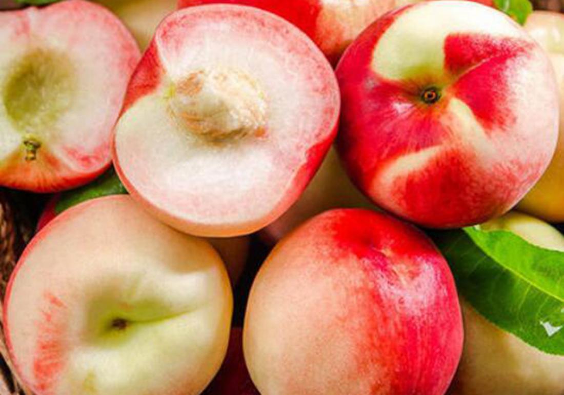 三年的桃树如何嫁接换其它品种,盆栽桃树如何修剪才能快速结桃