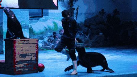 暑假余额已不足该注意什么,暑假余额即将不足