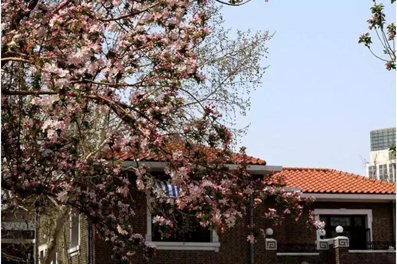 京郊最美的十大花海,京郊这些浪漫花海惊艳初秋的北京