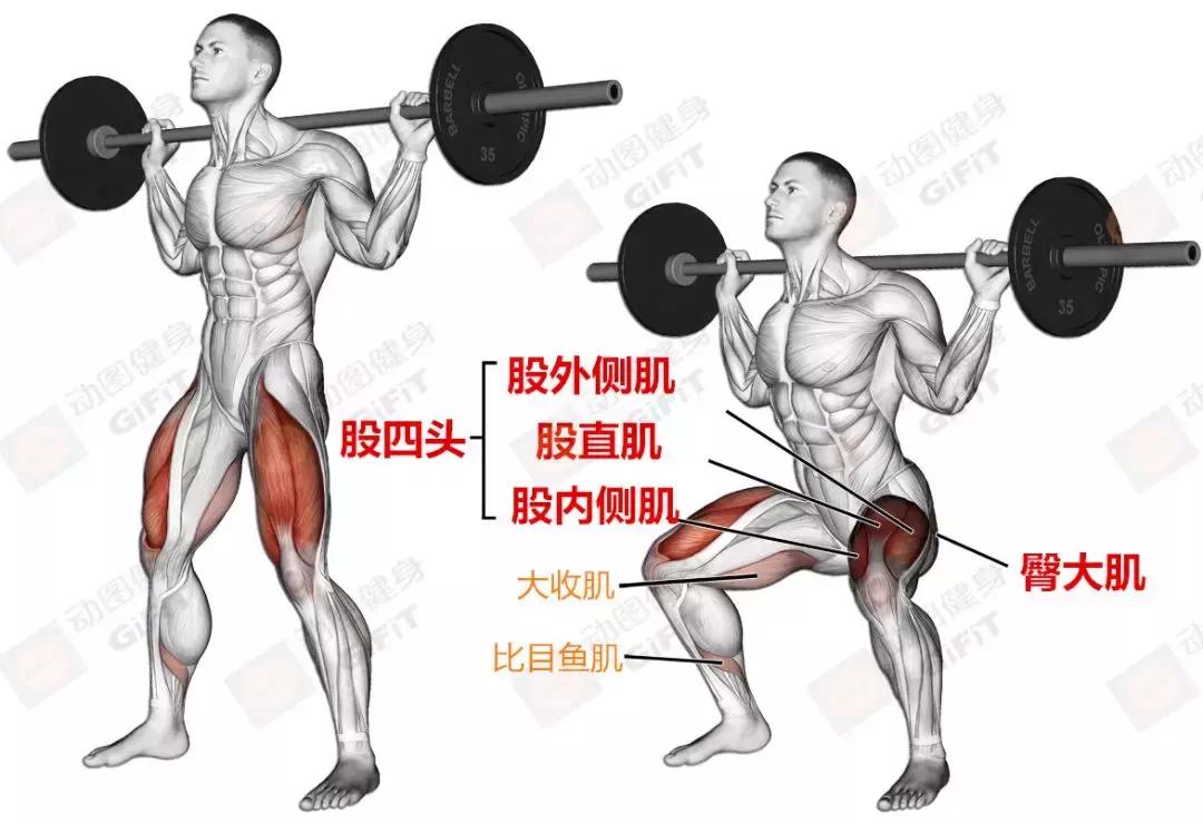 女生健身房器械训练计划一周,初中生健身房器械训练计划