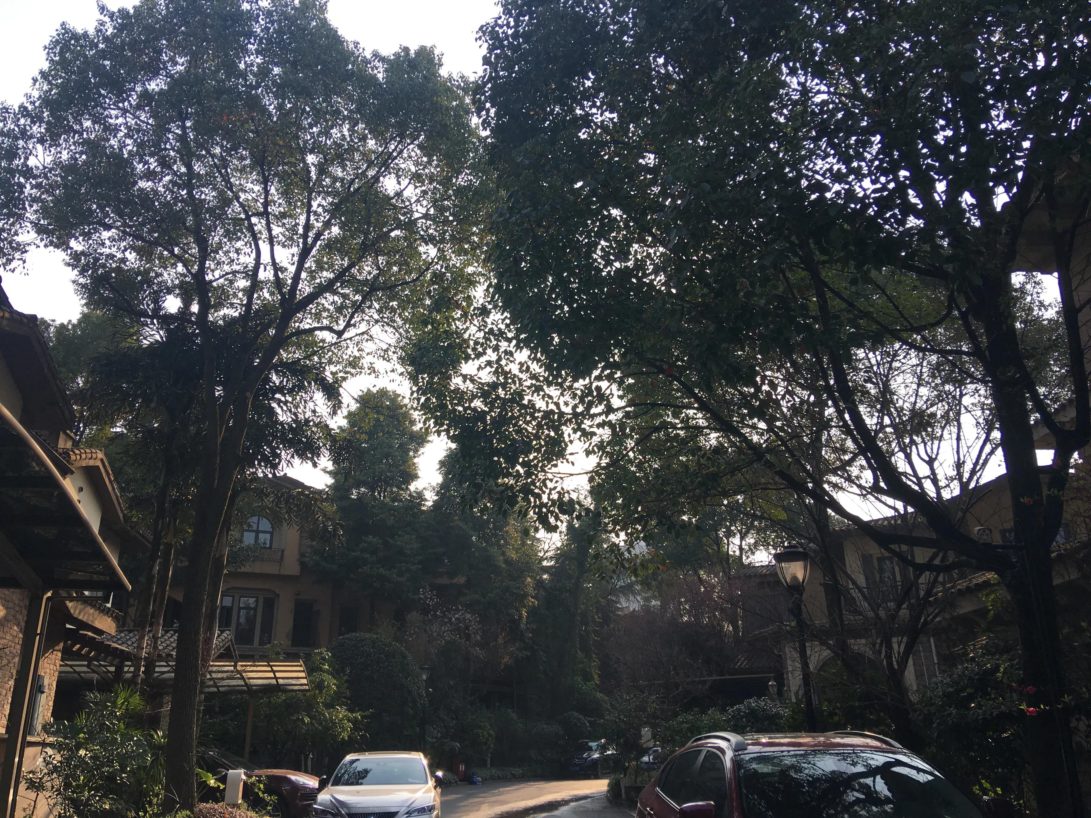 重庆龙湖蓝湖郡临湖,重庆龙湖蓝湖郡租房