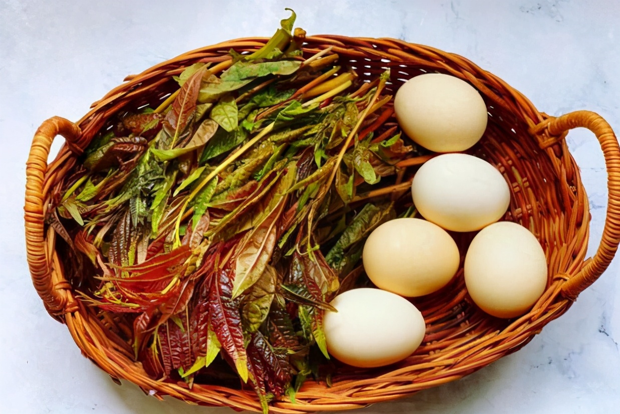 香椿芽简介,早春香椿芽