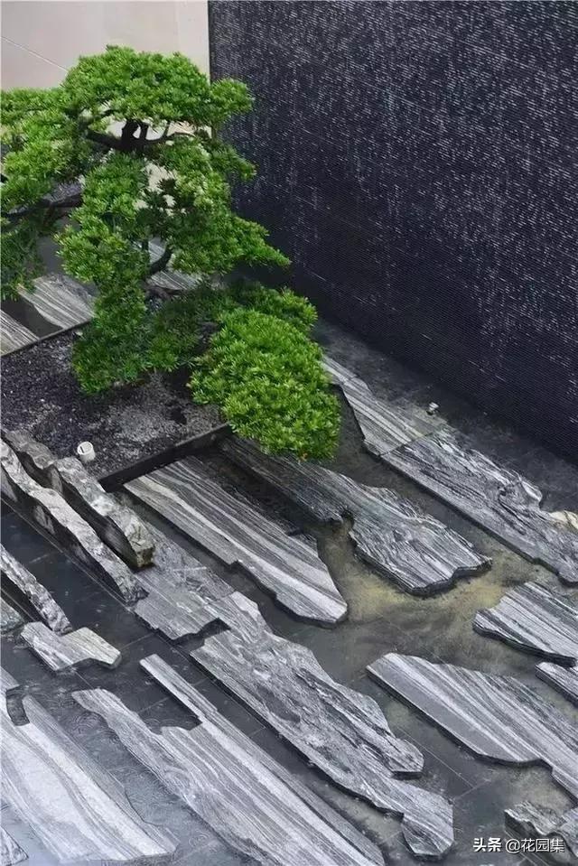 小小庭院,小小庭院满园春色