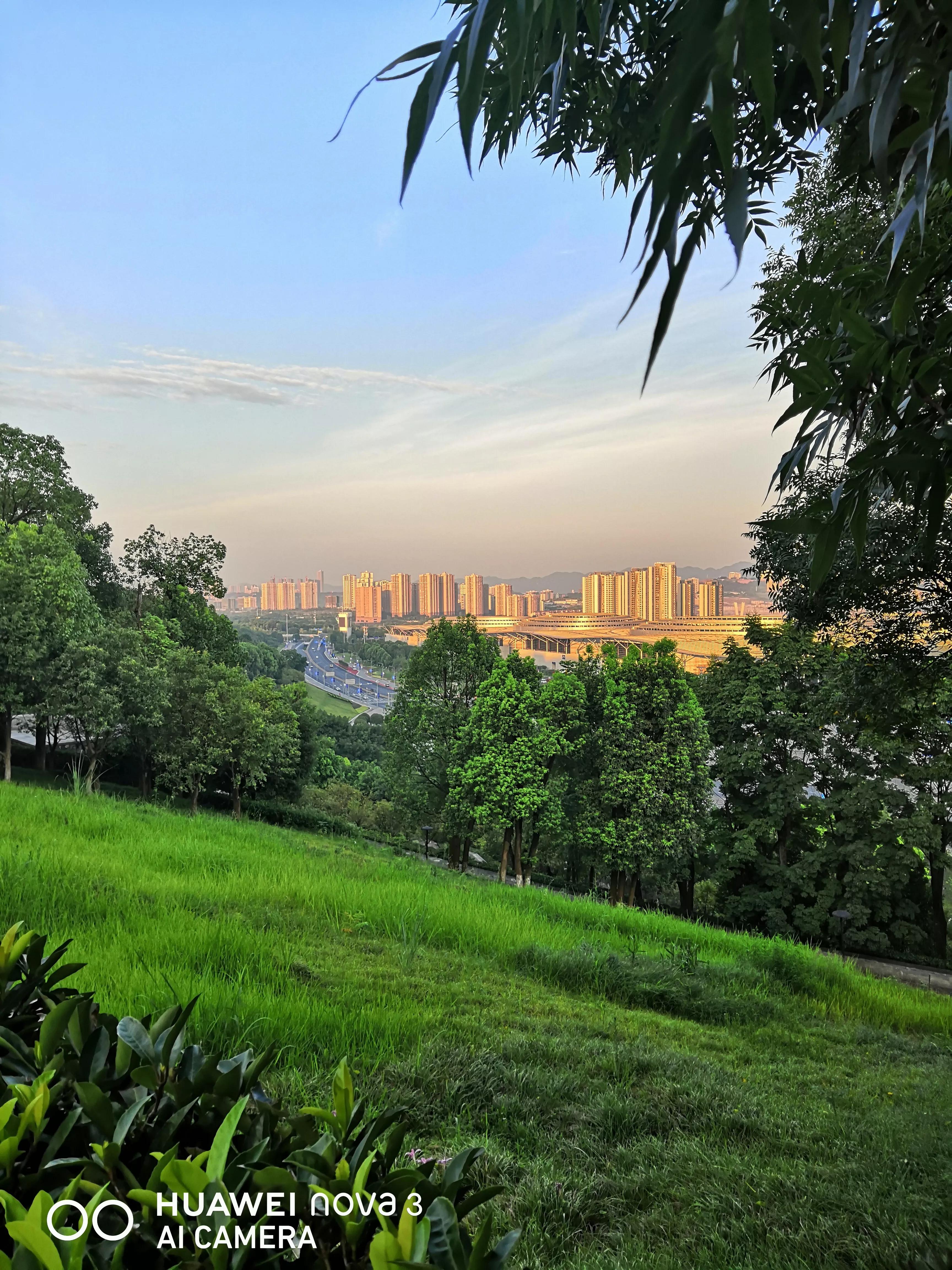 这几天又热起来了、这里是宜居的悦来