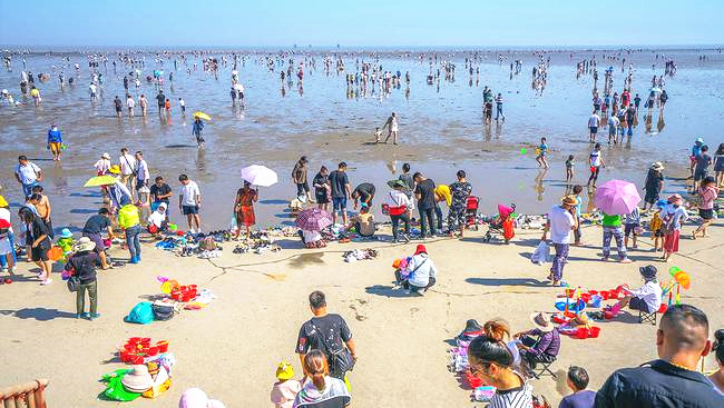 上海有好看的海边景点吗,上海好玩的海滩免费可以赶海