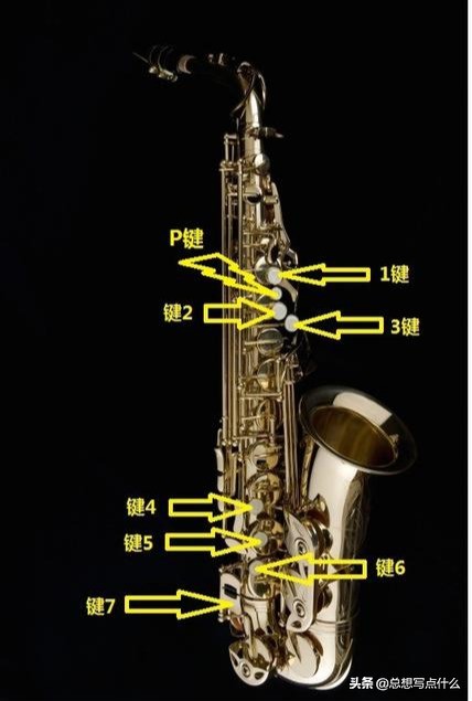 萨克斯各种按键介绍,萨克斯的构成方法