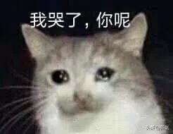 黄圣依美容仪真的很良心吗,黄圣依美容仪怎么样了