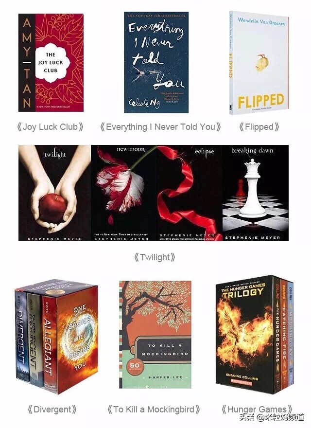 60分钟快速阅读1年读完100本书,我是如何在一年内读完218本书