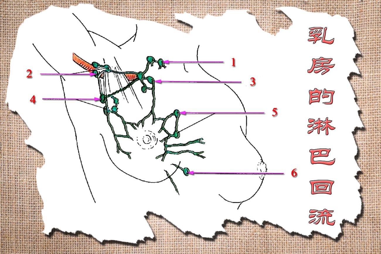花钱推拿真的有用吗,花钱隆胸值不值得