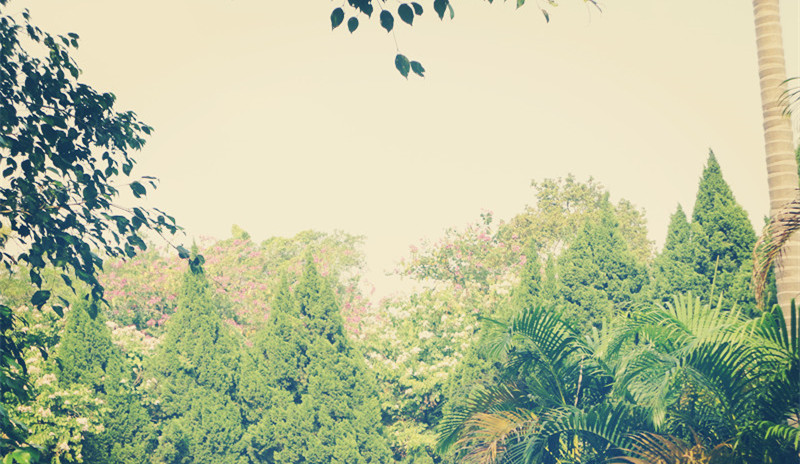 高考一轮复习技巧与方法,2023年高考一轮复习精讲精练