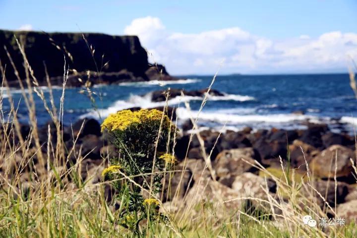 北爱尔兰巨人之路一日游,北爱尔兰巨人之路什么时候浪最大