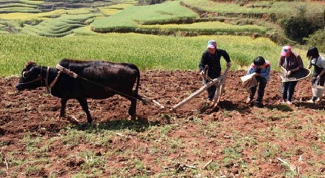 杨源水：我的三大娘