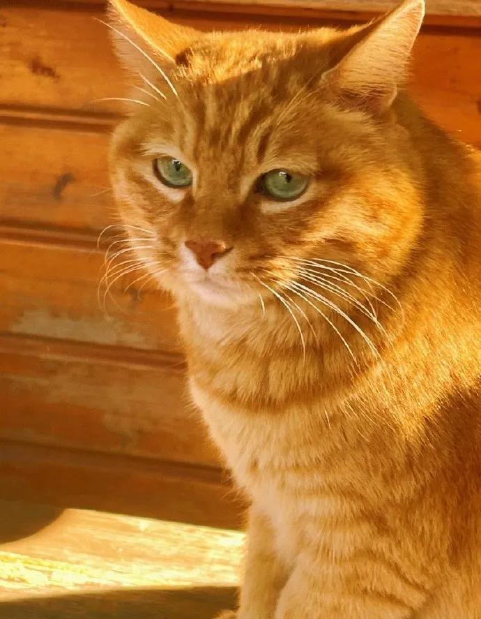 浣犺兘鐚滃嚭璋佺畻鎴戣緭,浣犵寽寰楀嚭鏉ョ畻鎴戣緭