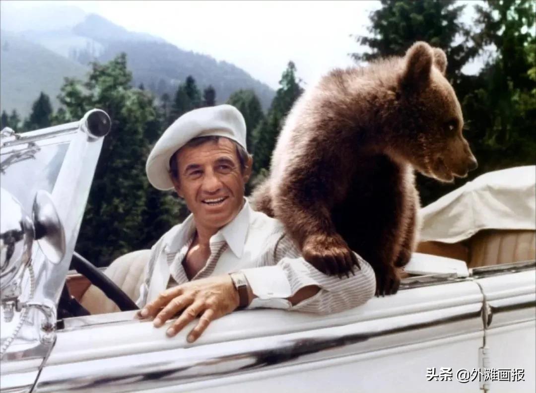 法国国宝级男演员去世,又一位男星去世