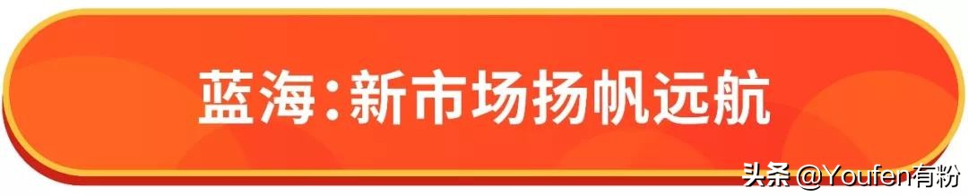 shopee如何选蓝海类目,shopee无货源如何选品