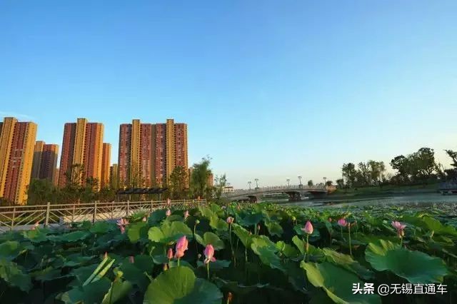 无锡夏天避暑的地方,无锡附近暑假避暑旅游好去处