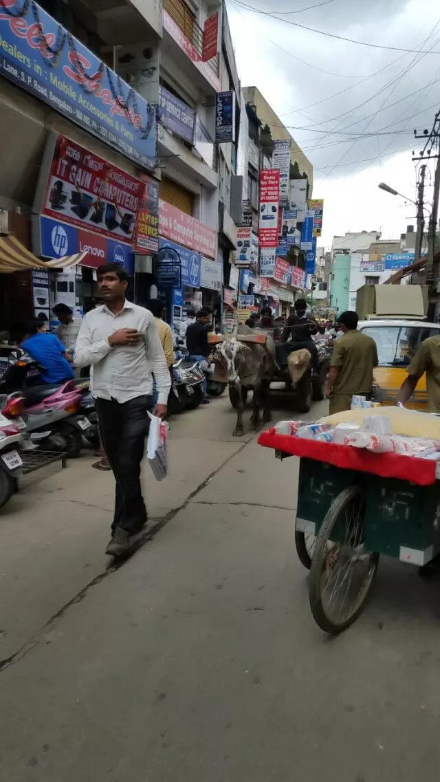 感受下真实的南印度-科技之城班加罗尔,外贸领域商业考察