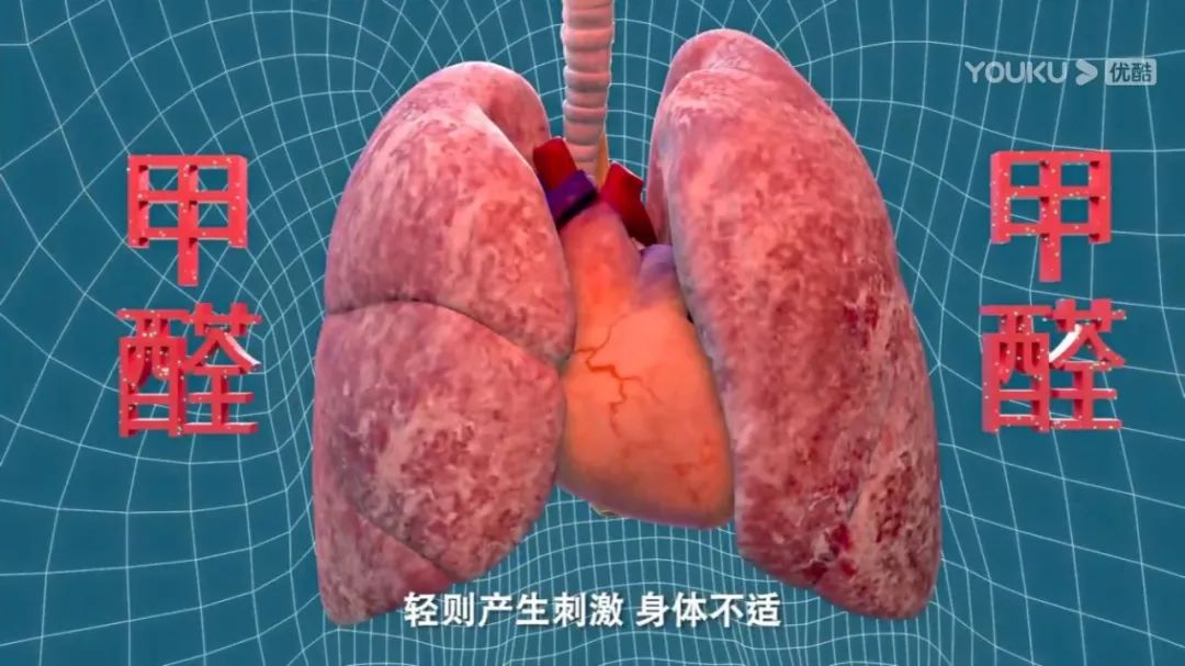 谁才是真正的环保板材,环保板材实测