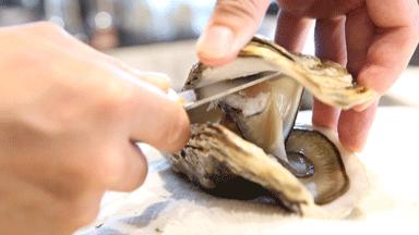 吉娜朵松子料理：在全面营业的日料店里，蚝自由地吃起来