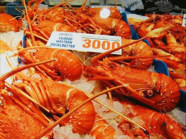 WTO审查中国贸易政策,澳洲美国联合卖惨,控诉遭到“经济胁迫”