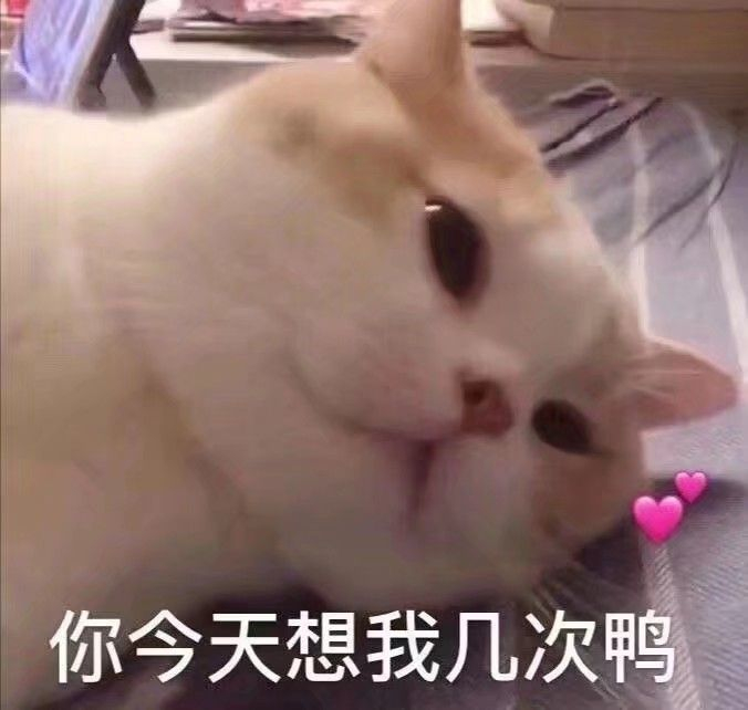 常见表情包图片大全集,表情包图片大全你还等什么