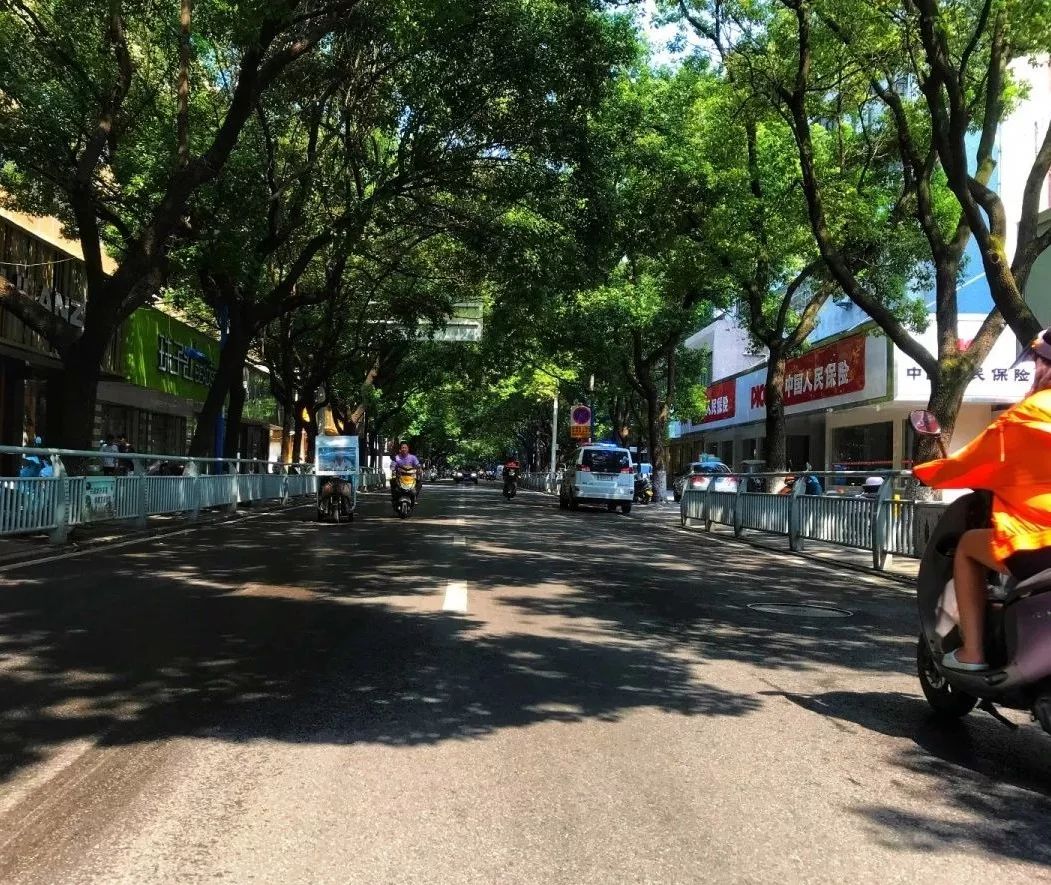 那些留在家乡的青年后来怎么样了,那些留在家乡的年轻人