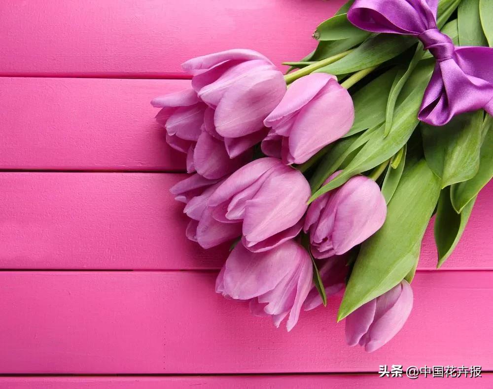 花卉直销开“外挂”——“淘分销”上线啦