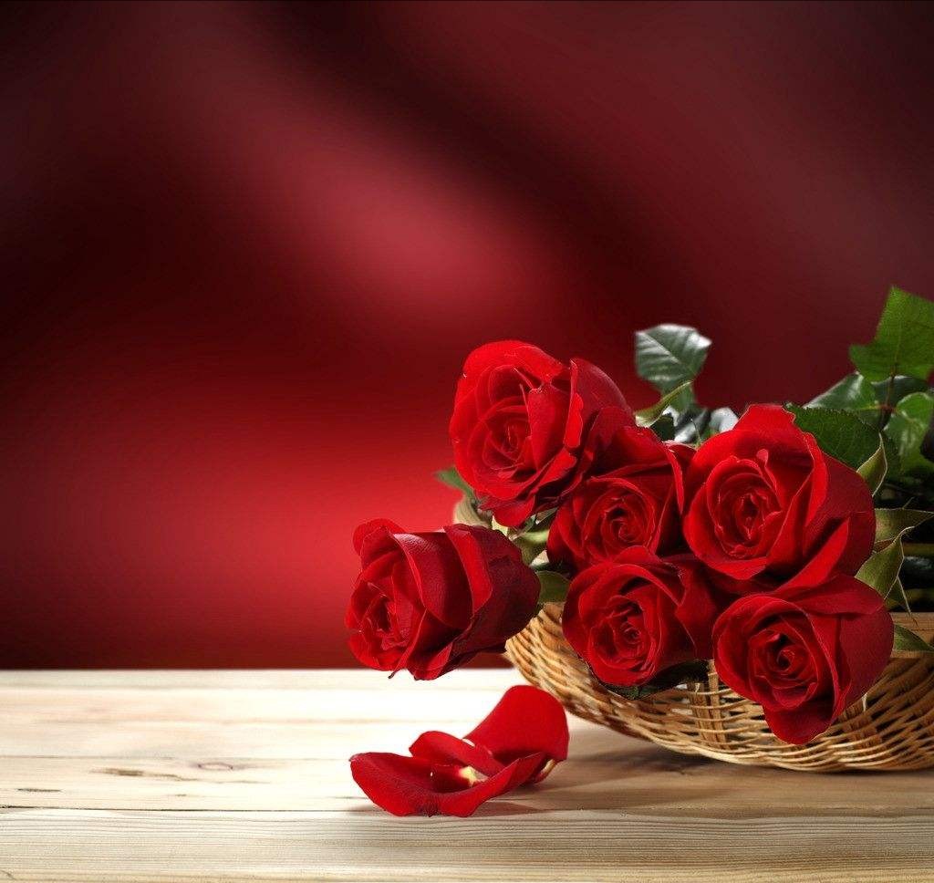 亲爱的你还欠我一个拥抱图片,亲爱的你欠我一个拥抱