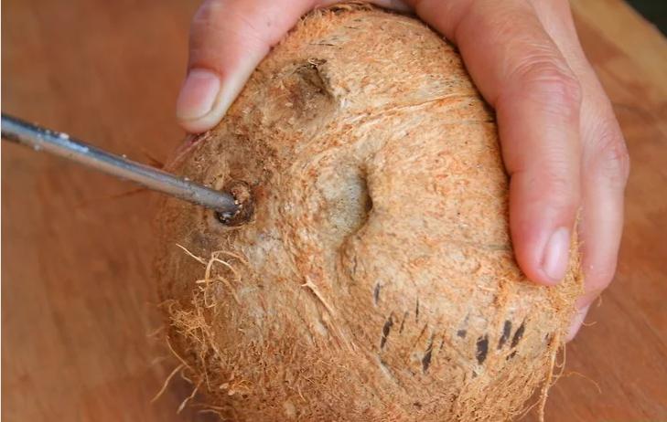 椰子壳怎么能轻松打开,带有盖子的椰子怎么打不开