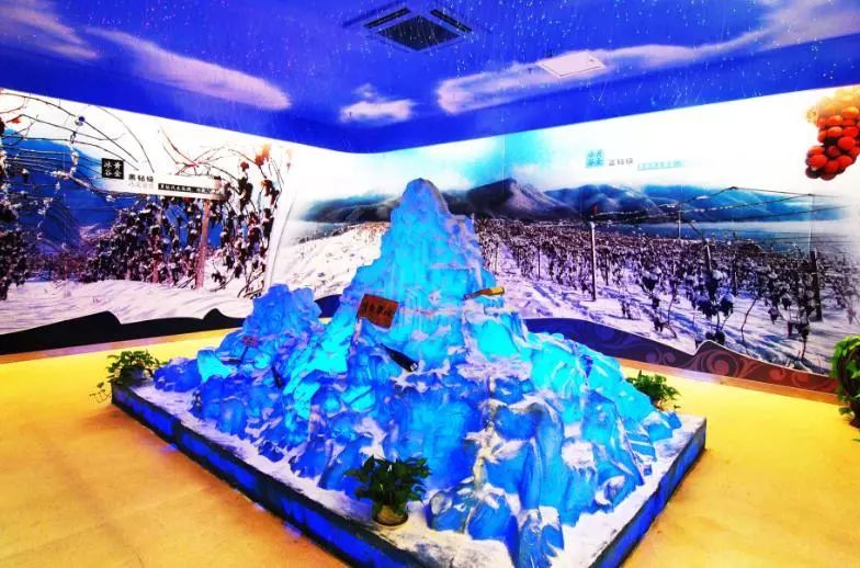 波尔多葡萄酒博物馆特点,了解葡萄酒用什么软件