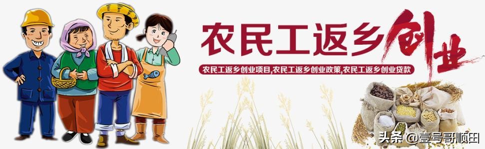 在农村加工什么行业赚钱,农村靠信息差赚钱的行业