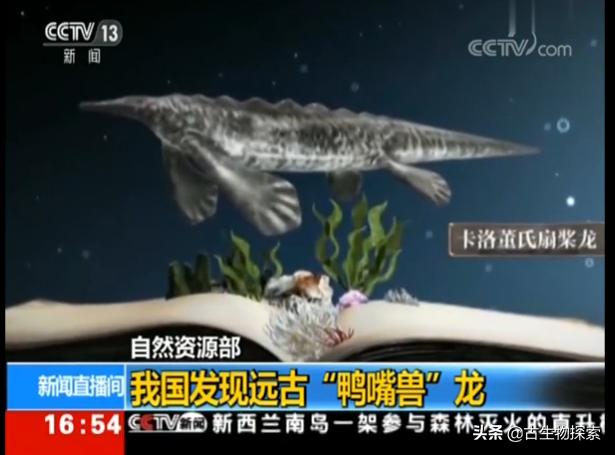 中国发现生活在2.48亿年前的“鸭嘴兽”