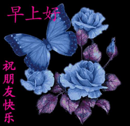 祝愿您新的一天心情愉快,愿清晨的问候带给您愉快的一天