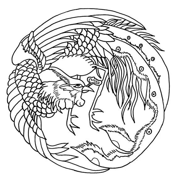 画画入门教程干货博主,基础入门画画必知