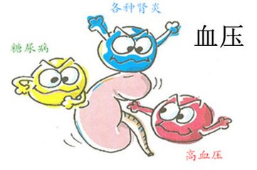 尿微量白蛋白80会伤肾功能吗,查尿微量白蛋白还要查肾功能吗