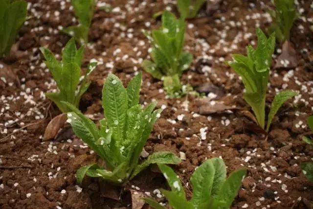 90后小伙花100万造房子,90后小伙花几千元装修500个平方