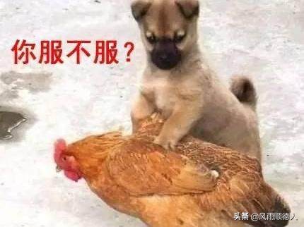 a股如果要上涨哪个板块最有机会,a股到底适合长期投资吗