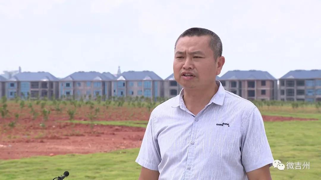 兴桥镇农业,兴桥镇农高区规划图