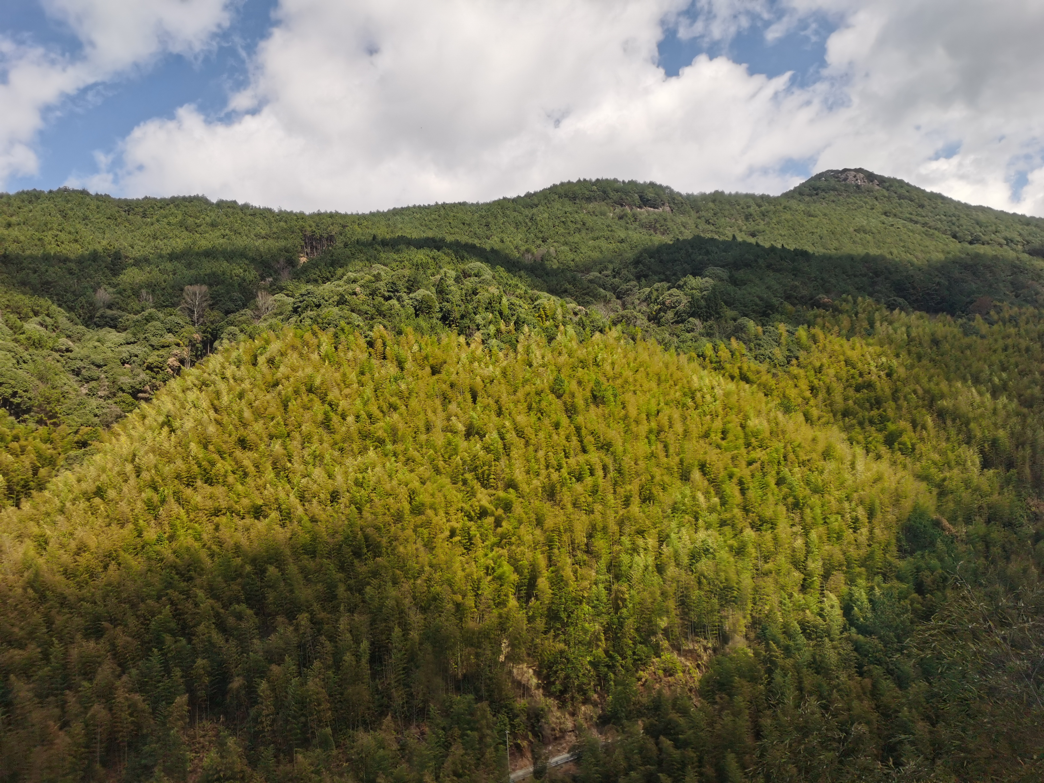 假期余额不足珍惜最后的时光,假期余额不足珍惜最后的快乐时光