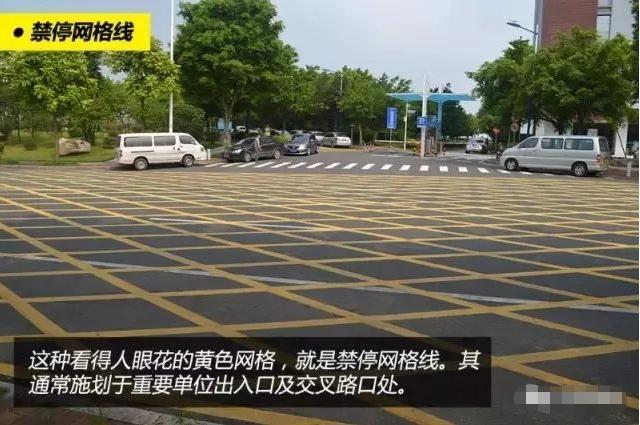 交警提醒这5种标线请铭记于心,马路上这几种标线代表啥意思