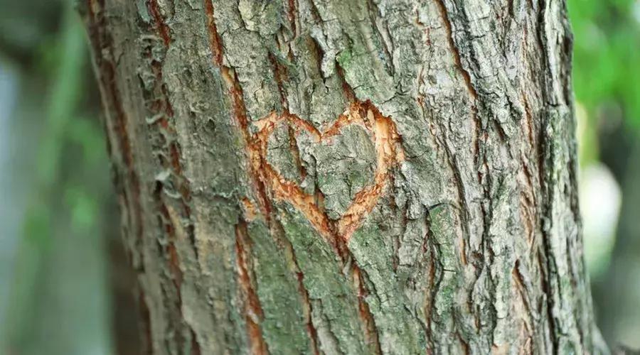 激光祛疤真的有效吗多少钱,激光祛疤痕是智商税吗