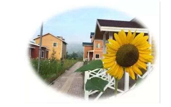 Zai运动一天体坛，为你精彩推荐