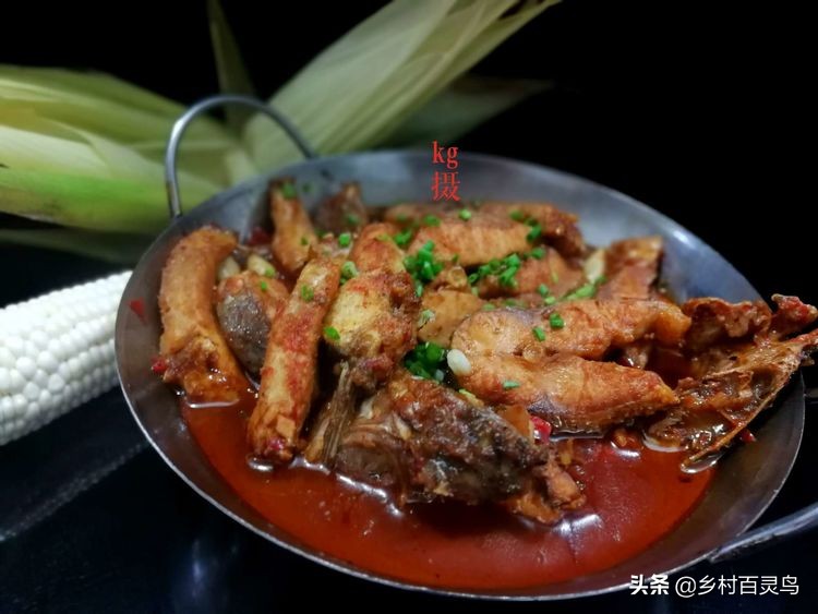 舌尖上的家常菜鱼,舌尖上的味道百吃不腻完整版