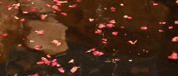 辽宁附近的温泉,辽宁省温泉分布图