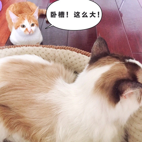 最近广州租房一楼哪里便宜又好,广州租房最便宜的区排行