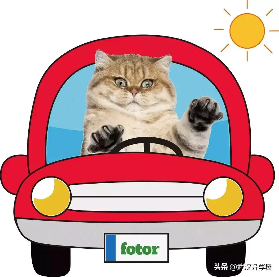 武汉市中考排名一览表,武汉中考成绩排名一览表