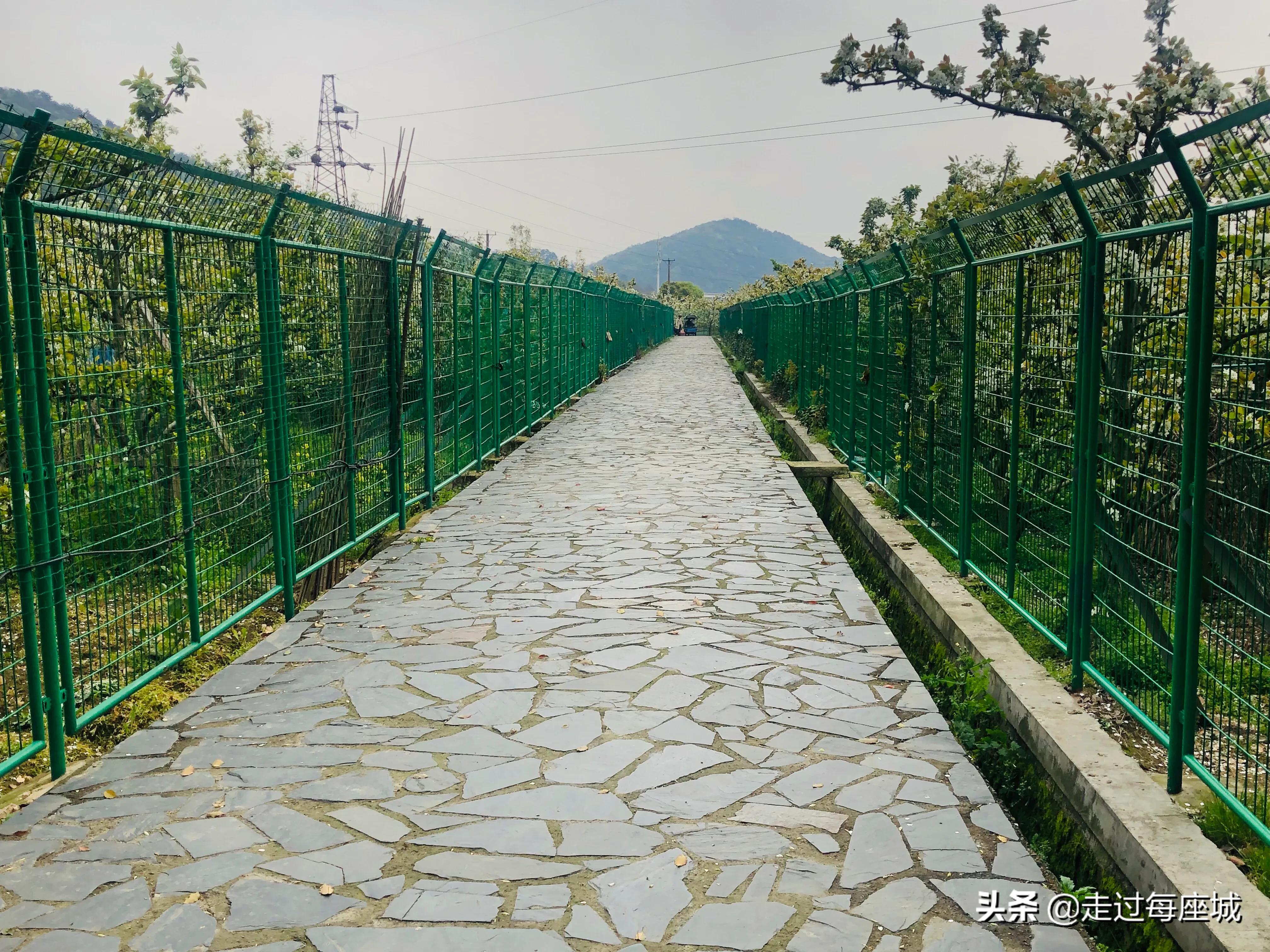 苏州小众却很棒的原生态的古镇,苏州必去的古村