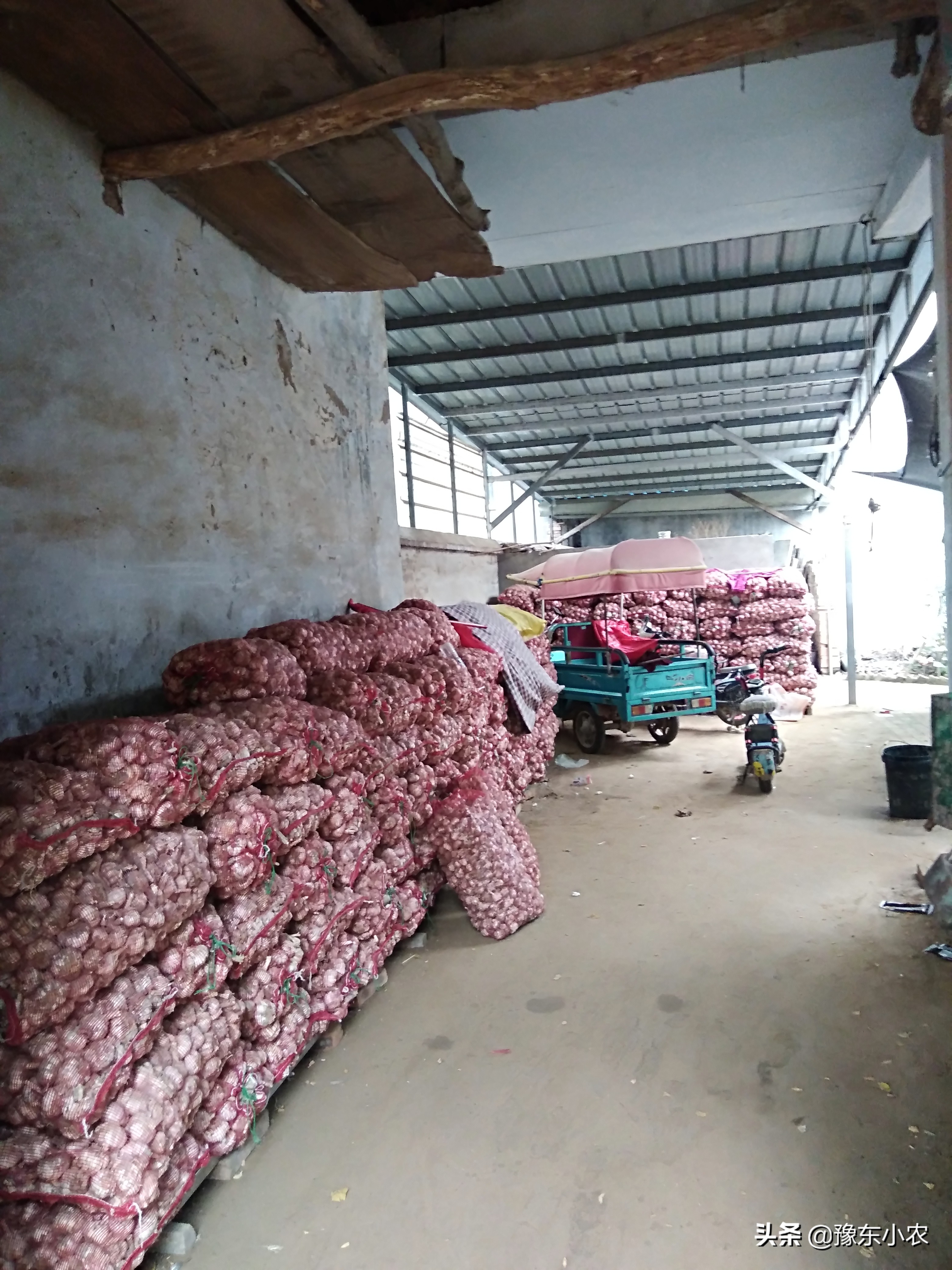 农村创业养殖和种植的可行性,返乡创业养殖四年真的不容易