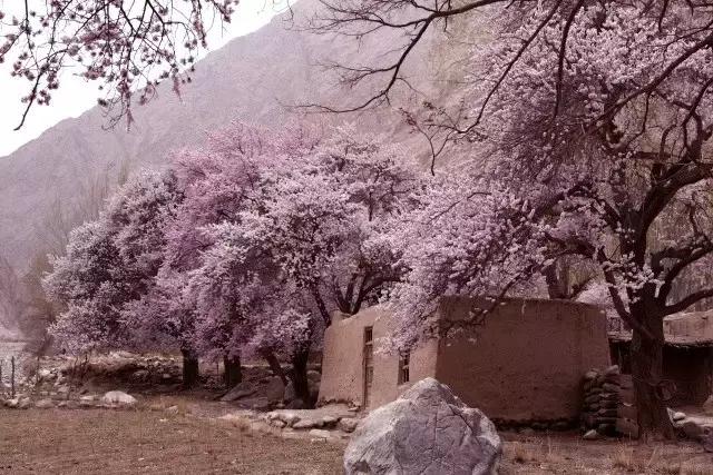 玄奘穿越帕米尔路线,帕米尔高原路线图帕莎古道