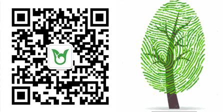 广州市白云中学口碑,广州白云中学2013